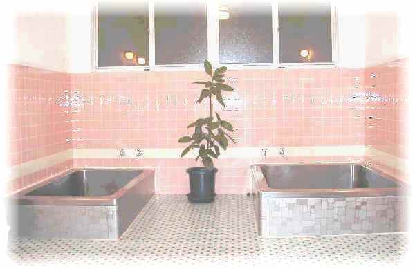 Large Communal Bath