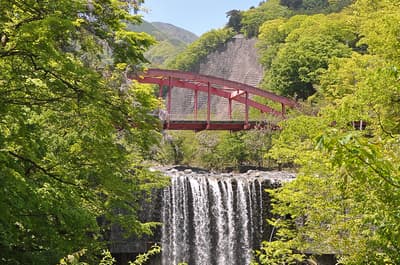 Nature nearby & access