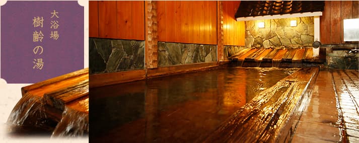 Jurei no Yu, a main bath of old-growth timber