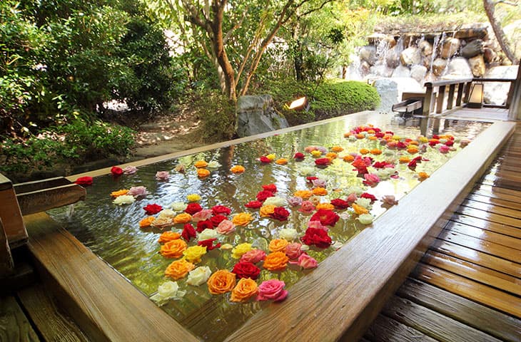 A Rose Bath With 200 Blooms Daily