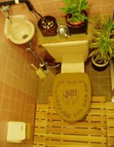 Shower & Washroom Facilities