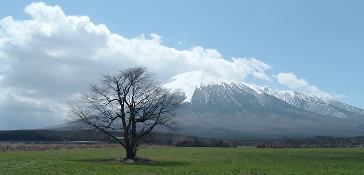 Four Seasons at the Foot of Mount Iwate