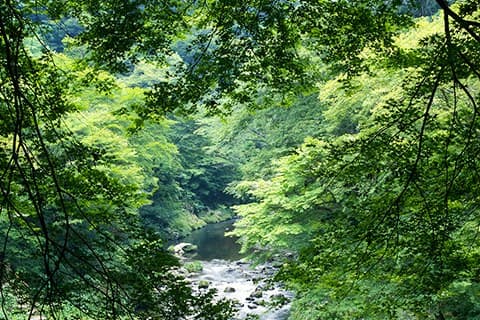 접근성과 시설