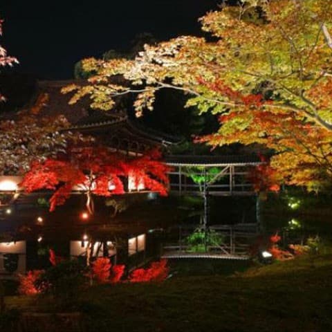 주변 관광