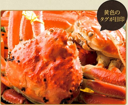 Kaiseki of Echizen Crab and Wakasa Beef