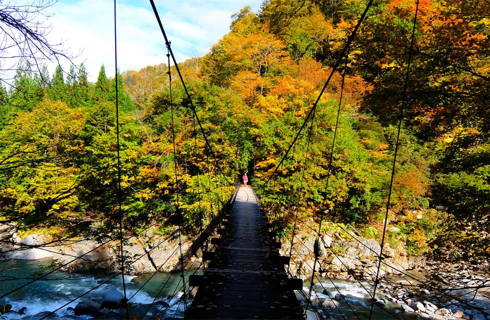 The Hidden Scenery of Akiyamago