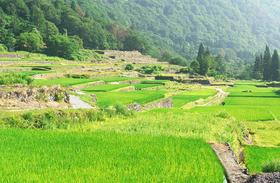 Activities Amid Great Nature