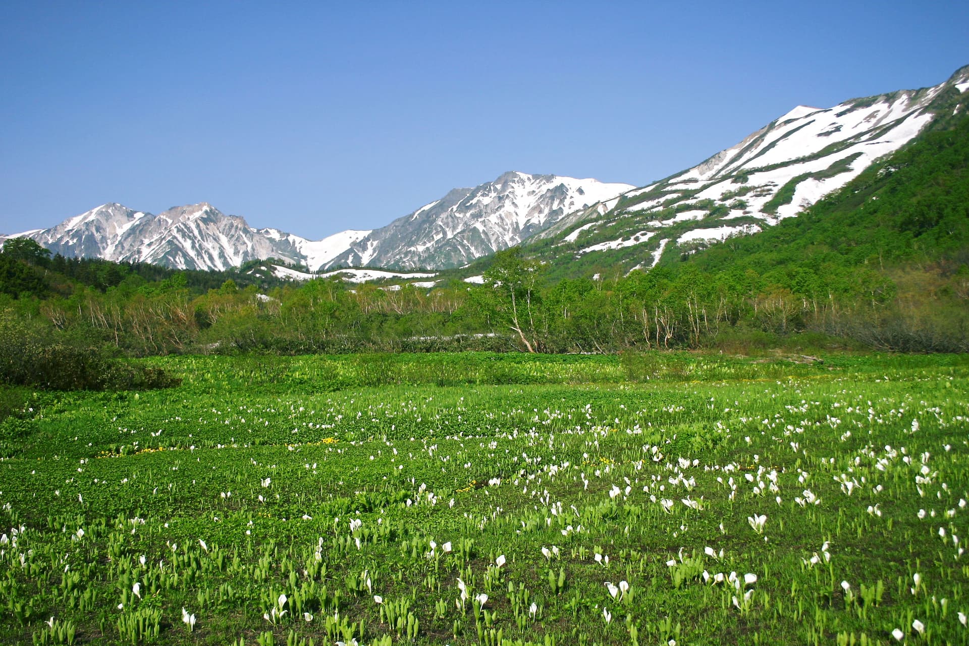사계절 산의 절경