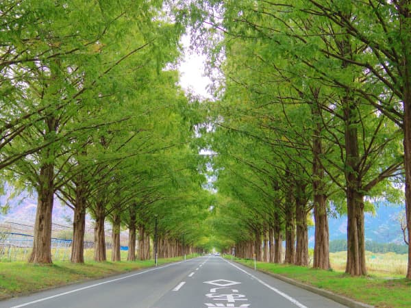 Location and Access by Lake Biwa