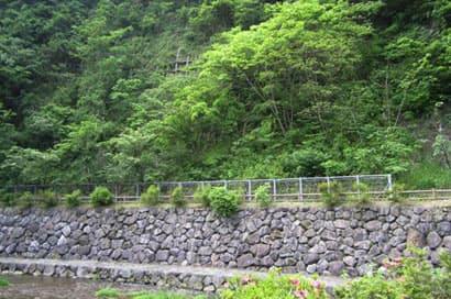 Four Seasons of Miyajima Gorge