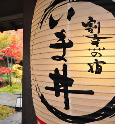 A Japanese Garden and Pure-Style Charm