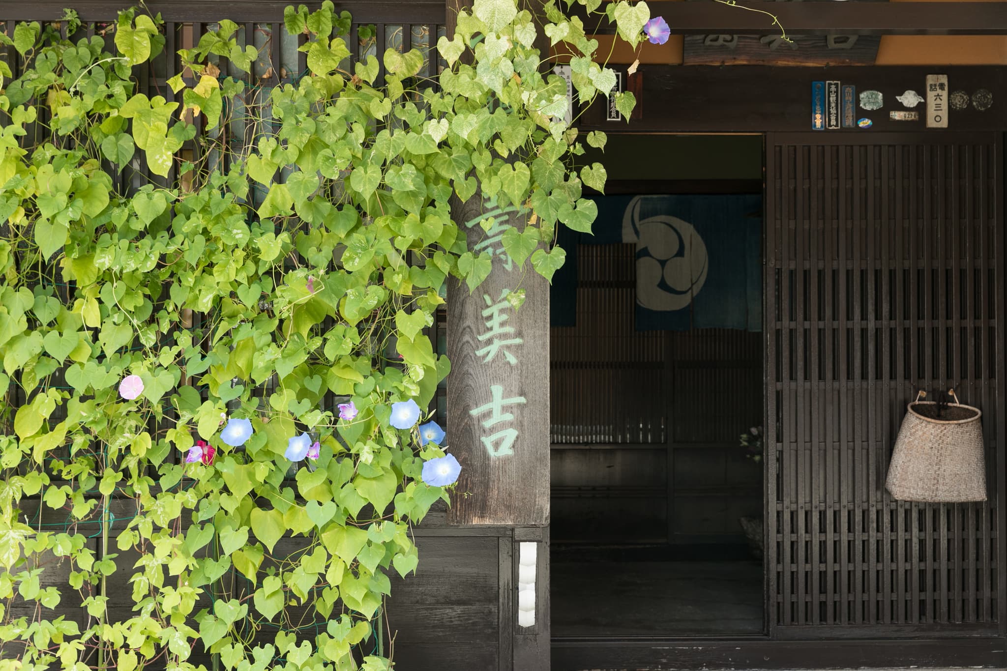 At the Heart of Takayama Sightseeing