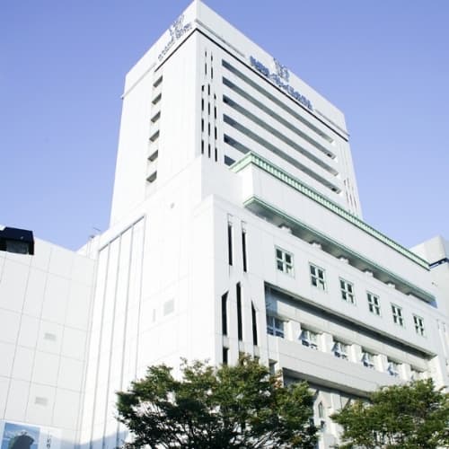 Shin-Yokohama Grace Hotel