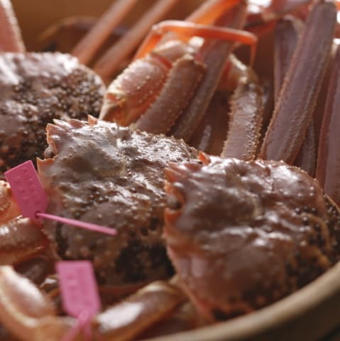 사쓰온센 민슈쿠 우마시야도 가도야(가미)