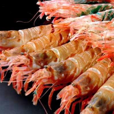 하마사카 온천 도토야