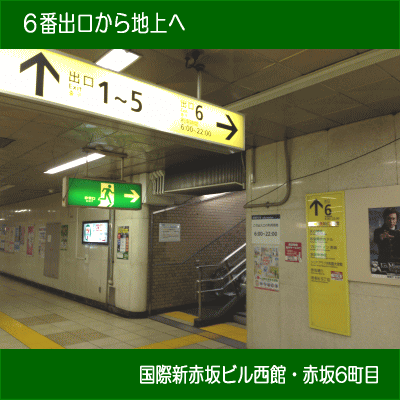 Sotetsu Fresa Inn Tokyo-Akasaka