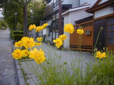 Pension Yumekukan