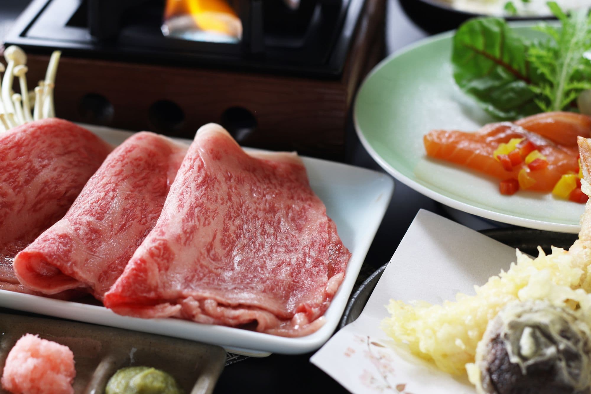 히다 다카야마 온천 히다 호텔 플라자