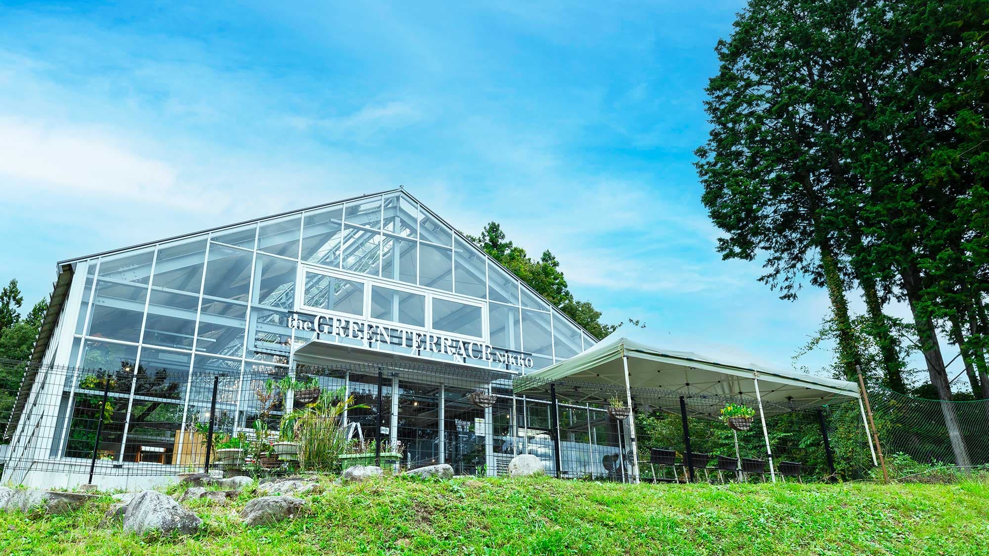 Greenhouse-style restaurant