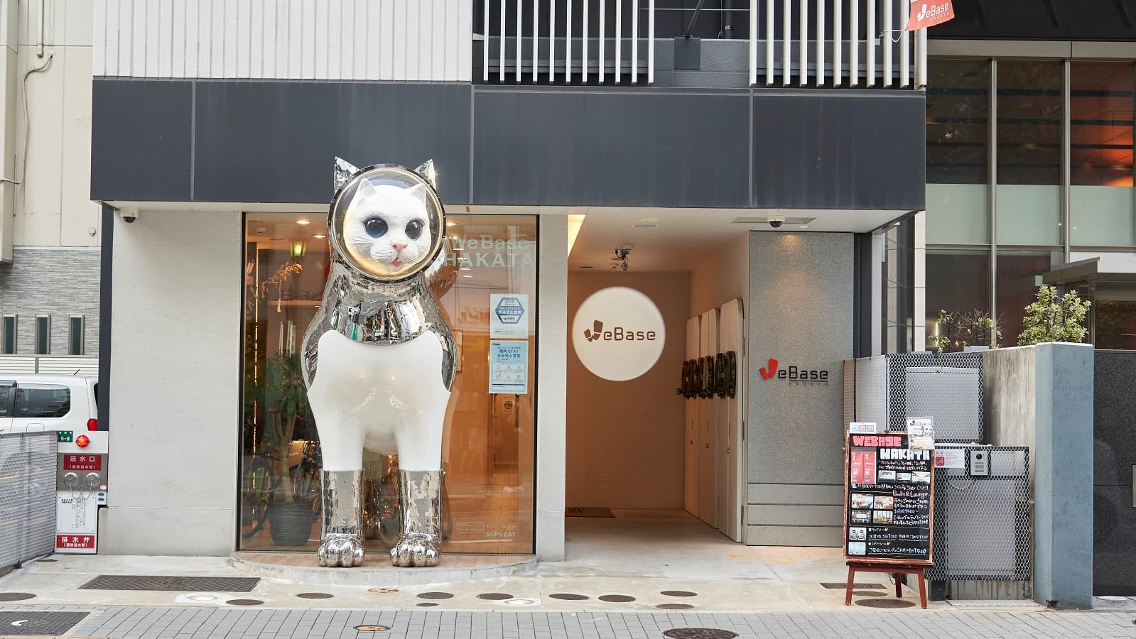 Giant cat at the door