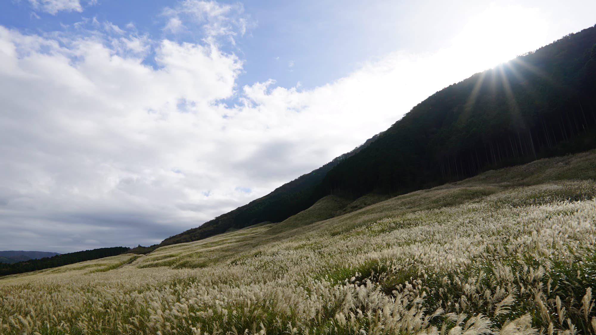 The scenery of Hakone Sengokuhara