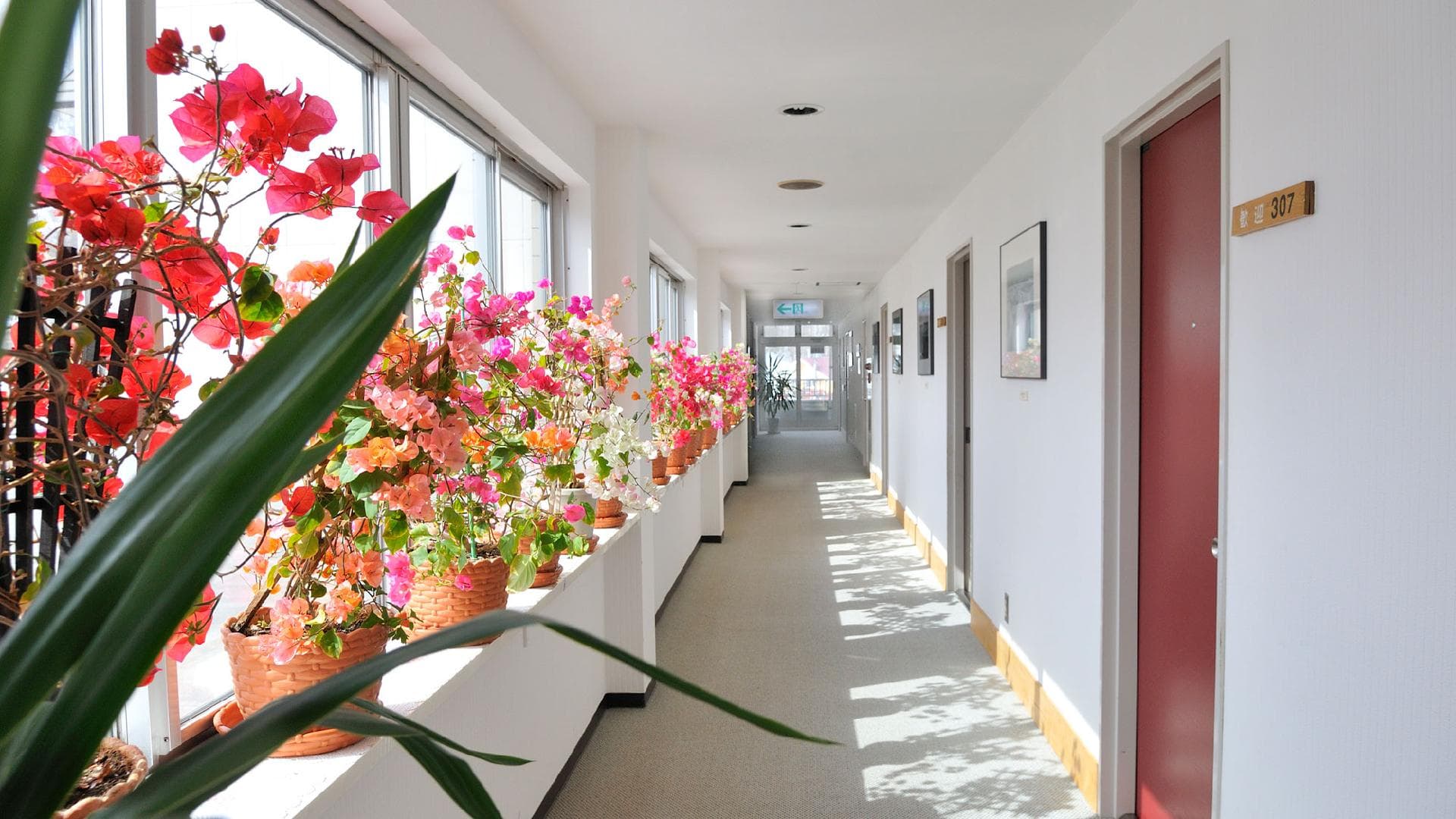 Flower corridor and photo gallery