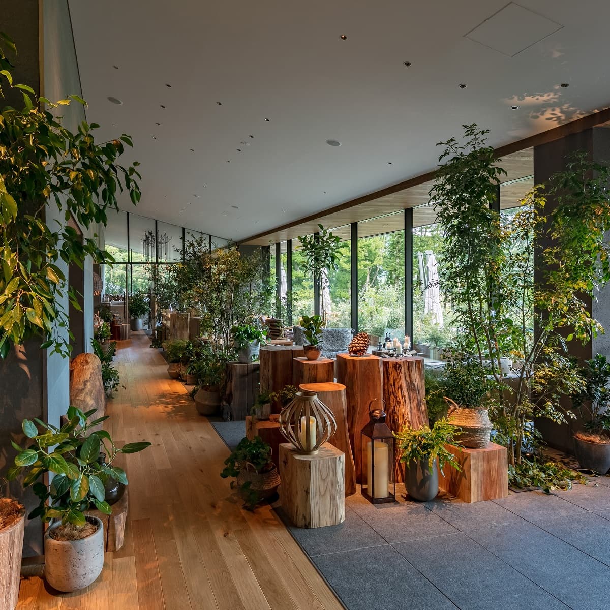 Facilities Held in the Forest