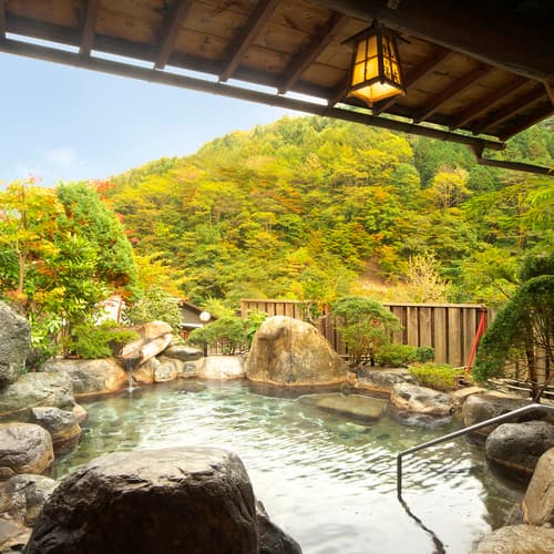 Hodakaso Yama no Hotel