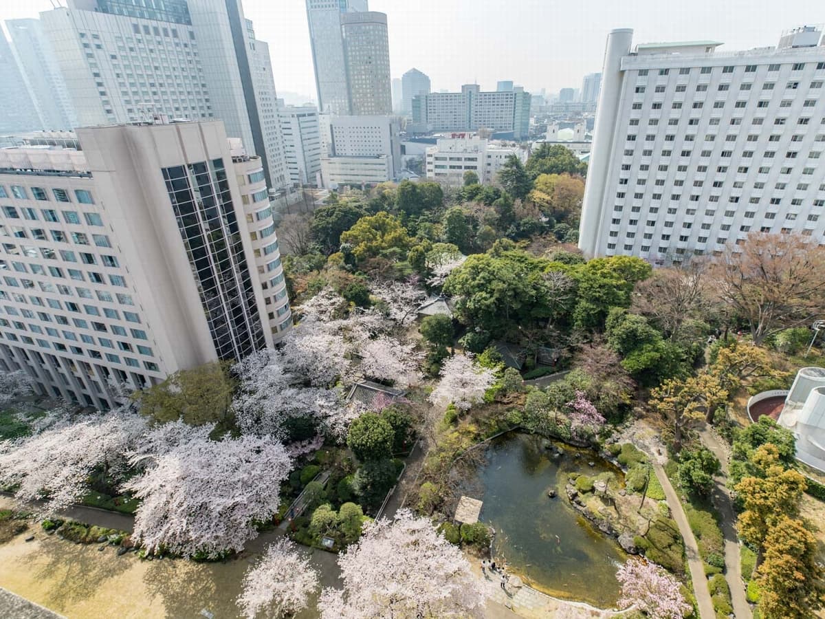 20,000㎡ Japanese garden