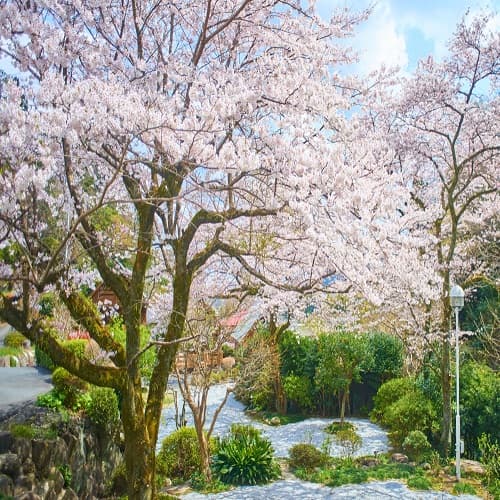 사계절 꽃이 피는 정원