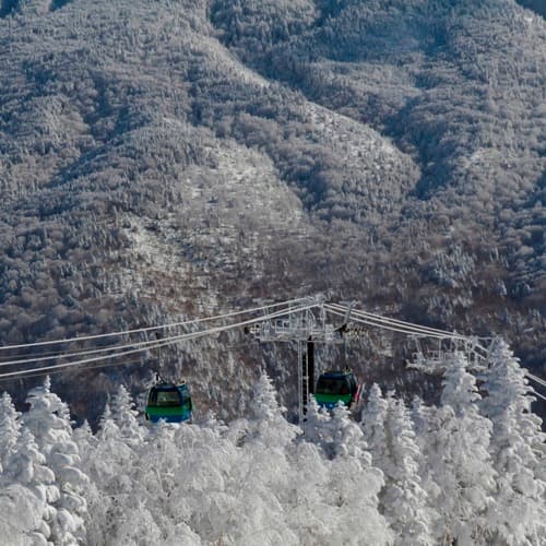 Shiga Kogen Prince Hotel