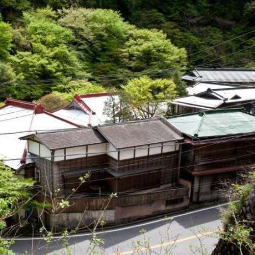Hakone Shichito and Access