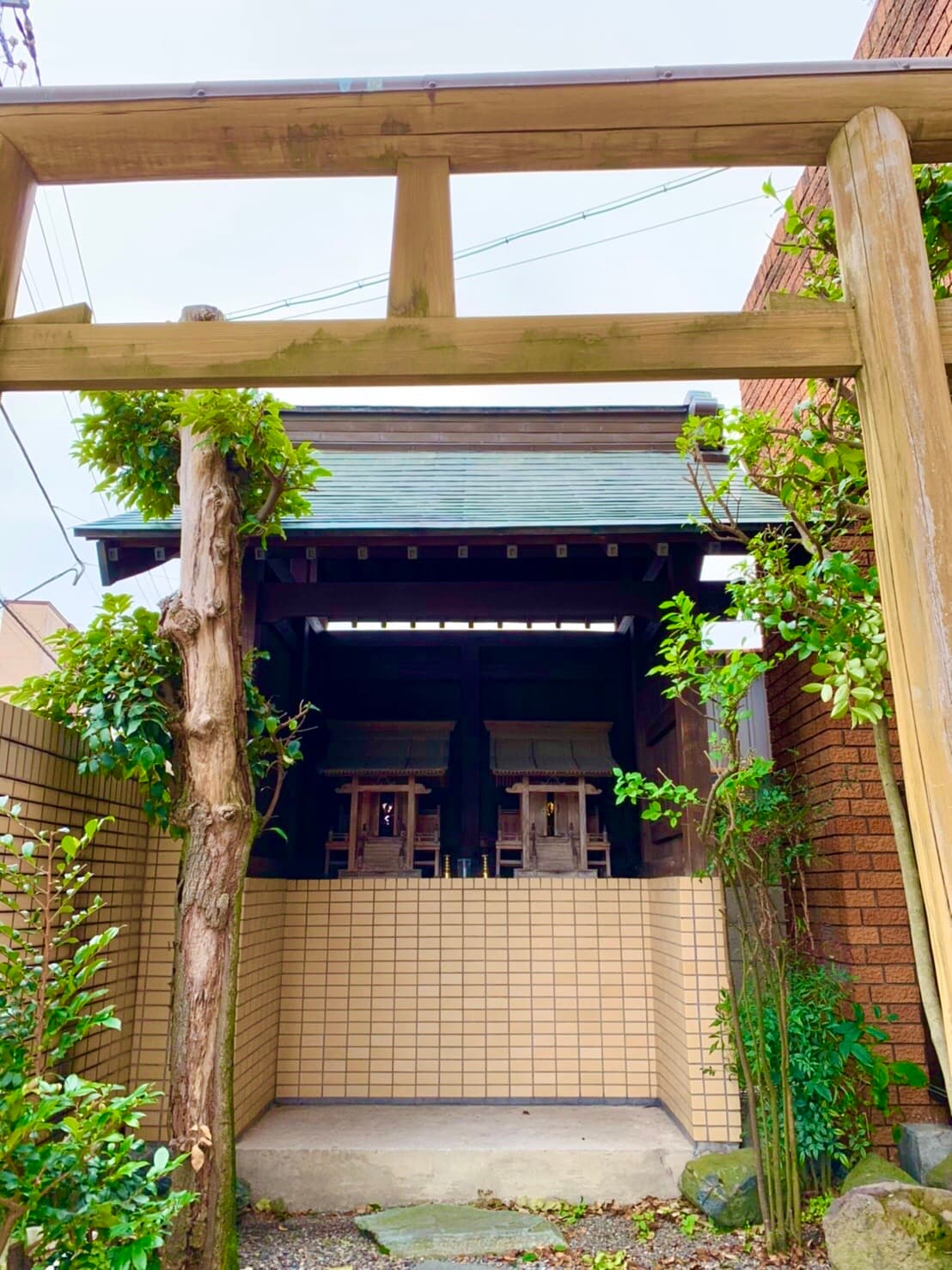 ホテル清水荘