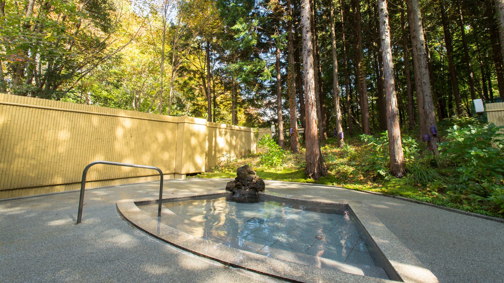 pH 8.95 alkaline hot spring