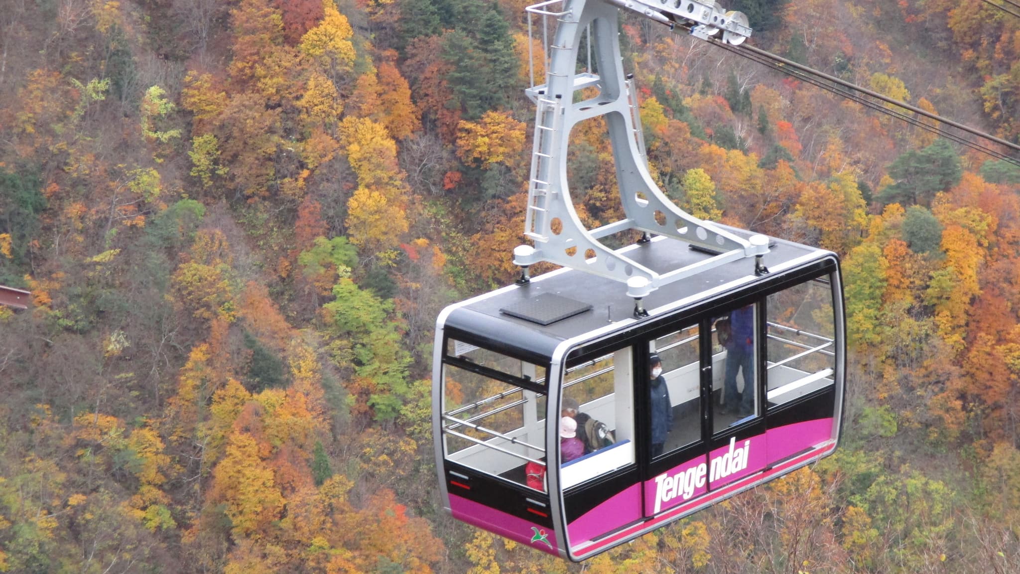 Up by ropeway