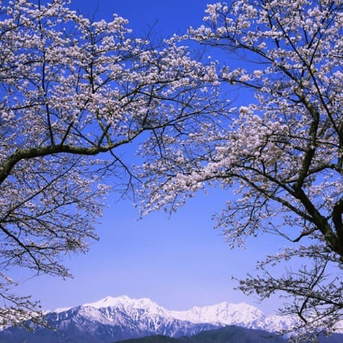호텔 유메노유