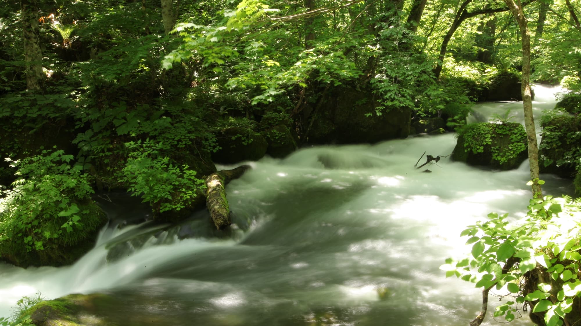 Right by Lake Towada and Oirase Gorge