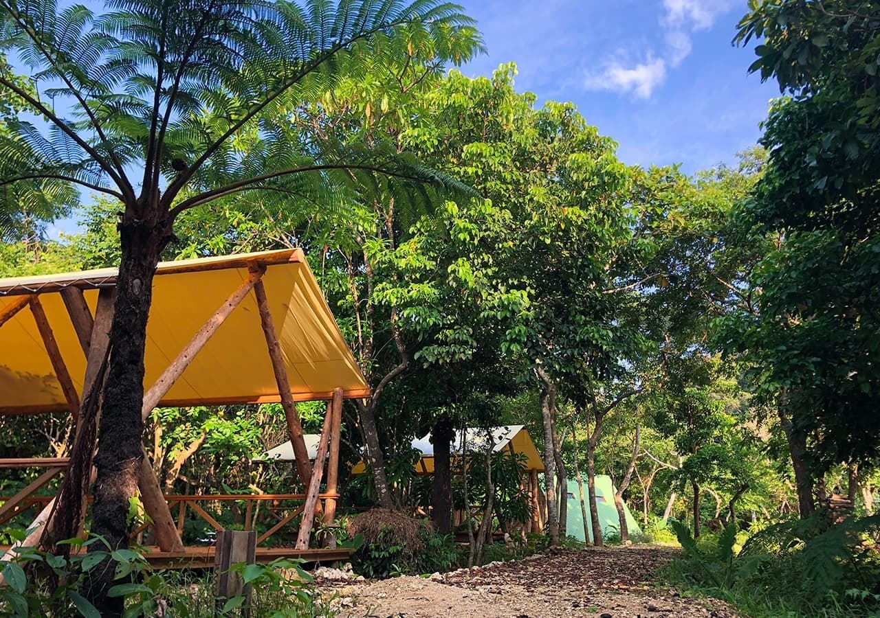 Jungle camp in a national park