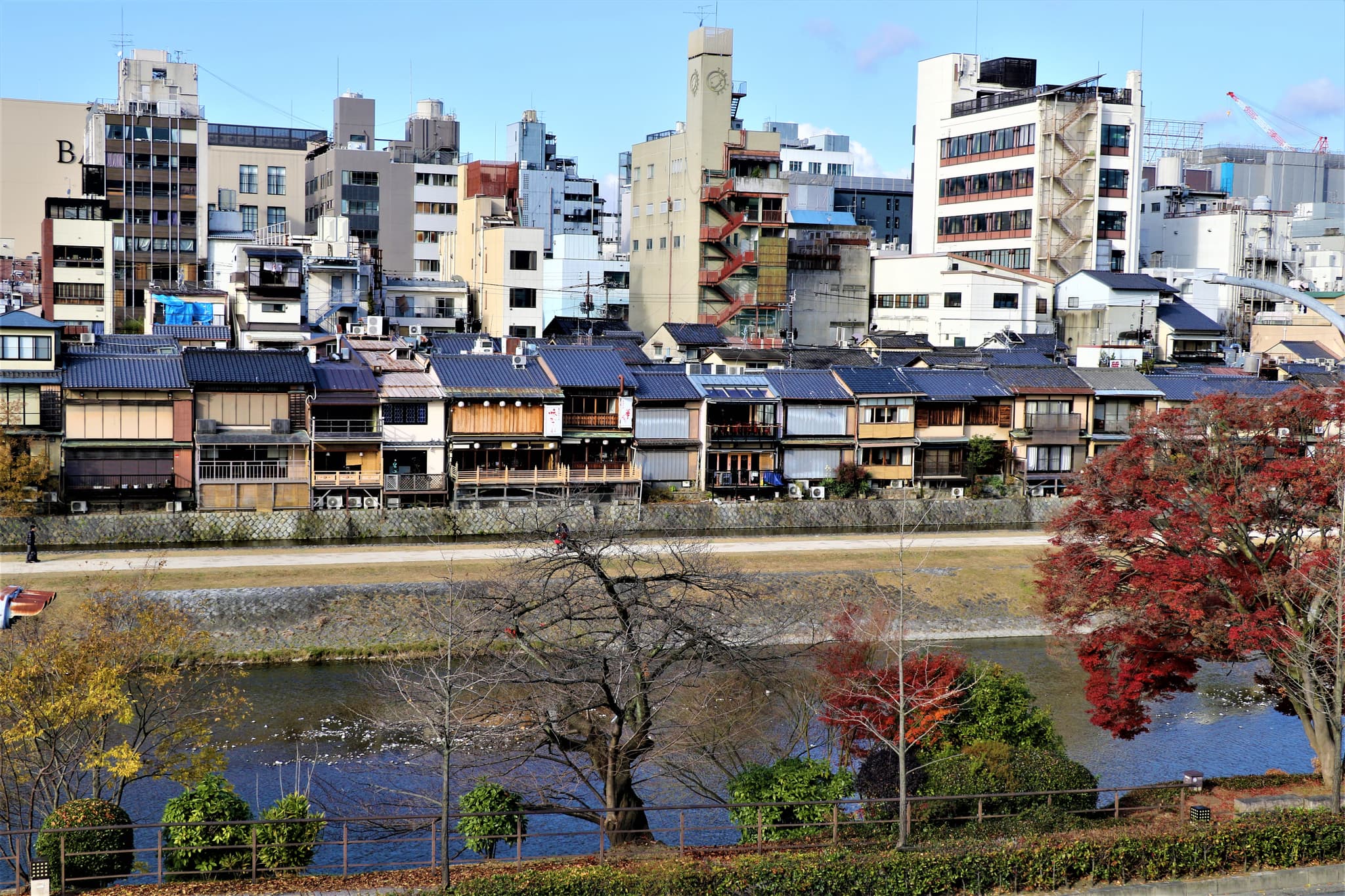 Kamo River views