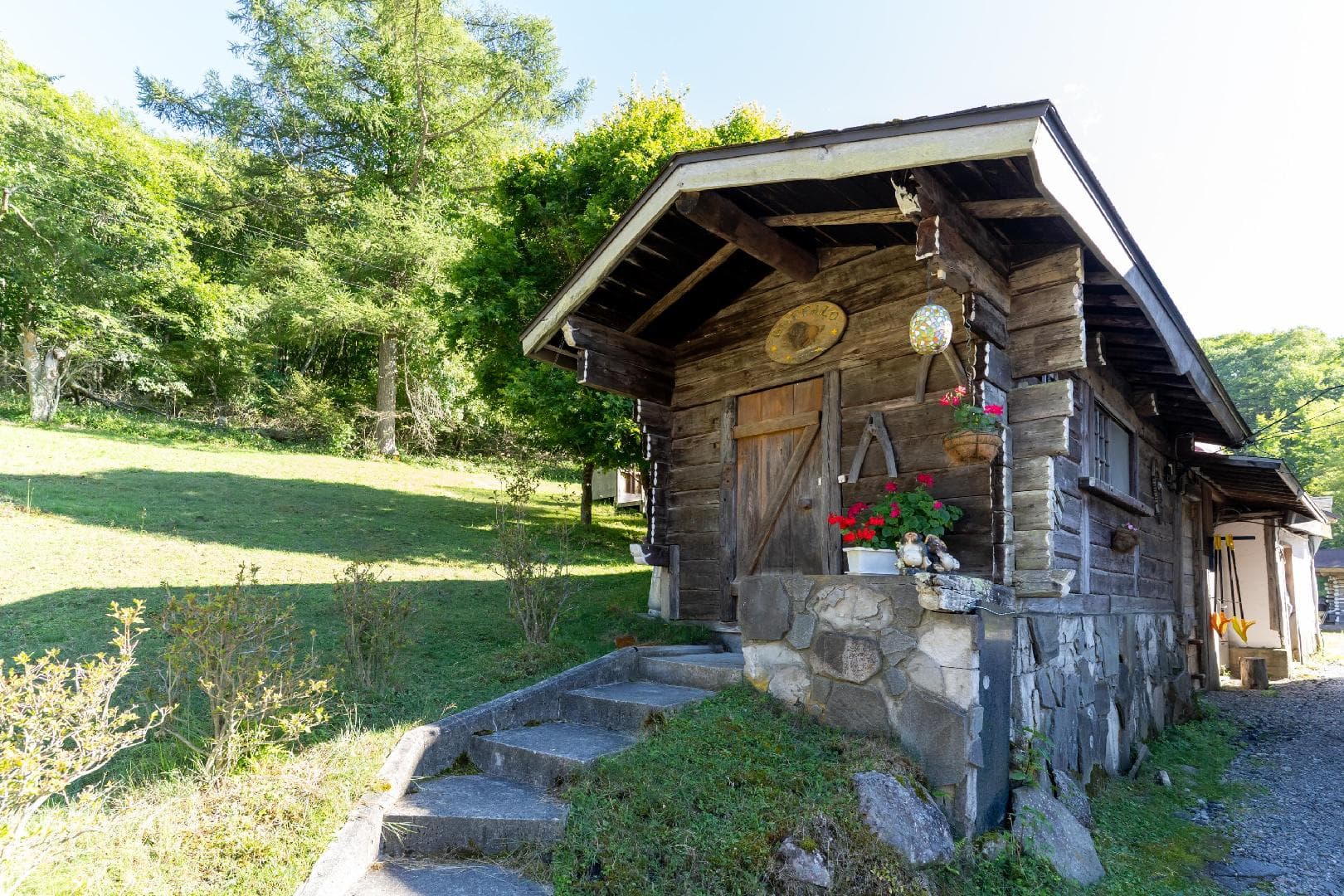 可带宠物的小木屋
