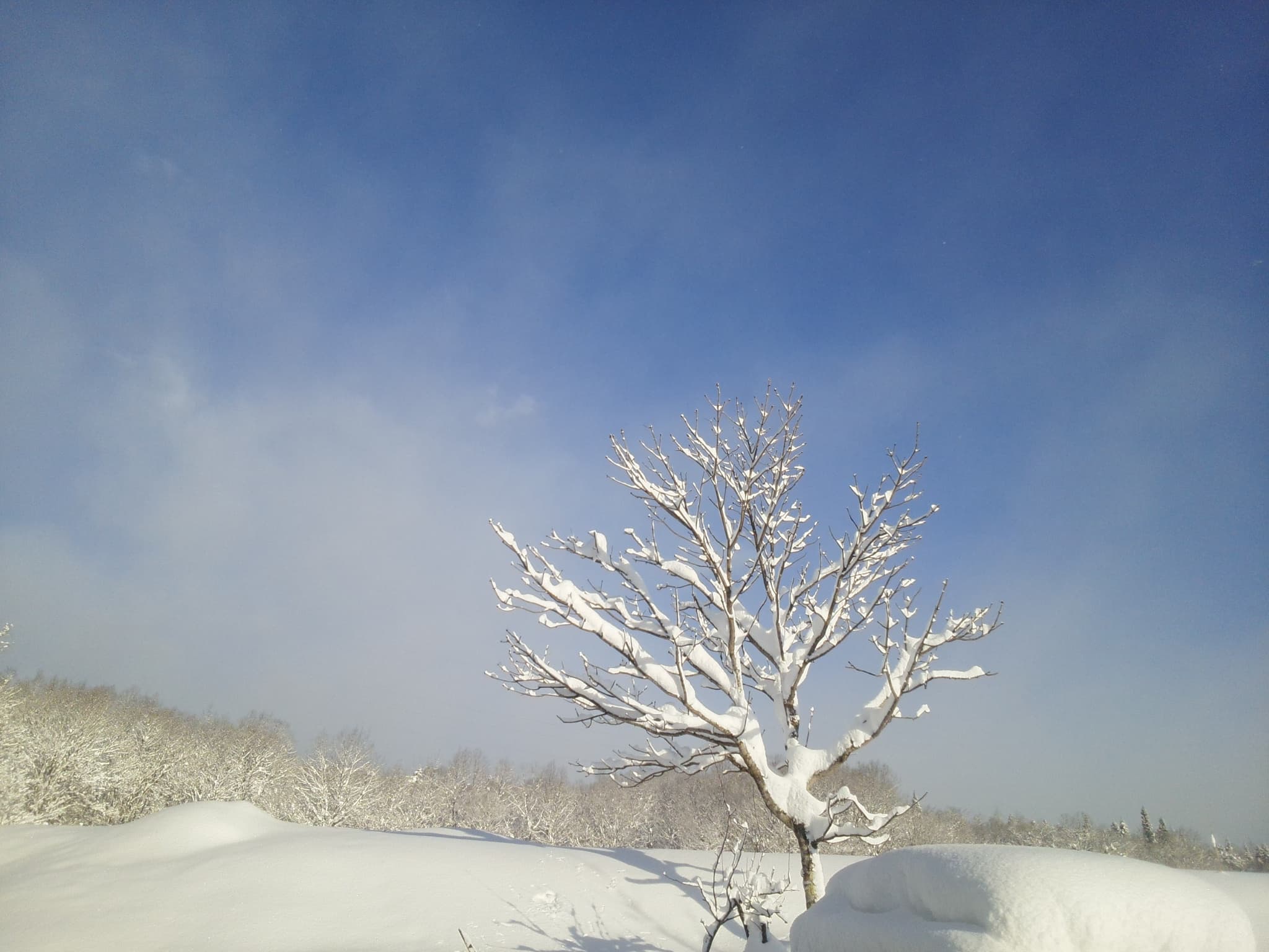 Highland Seasons at 900 m