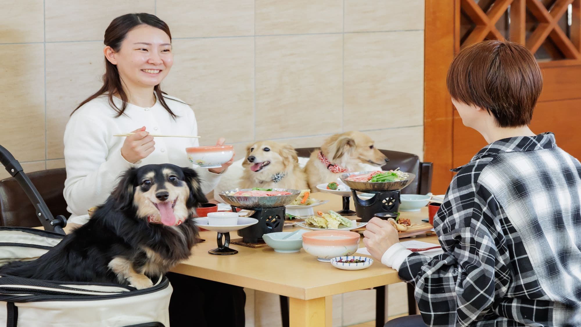 可携犬用餐的餐厅