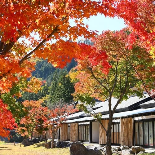 긴슈산소우