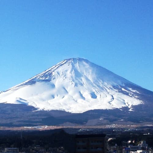 富士山侧客房